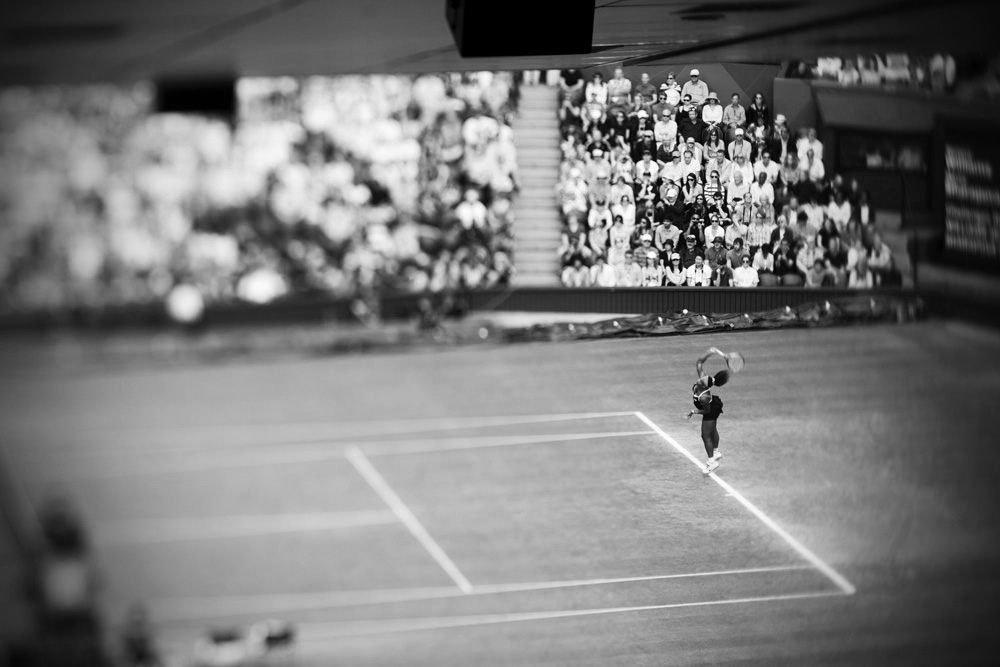 Serena Williams wins Gold Medal - Women's Singles : London 2012 / Olympics : David Burnett | Photographer