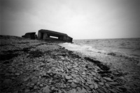 Gold Beach - ©2024 David Burnett.<br/>All rights reserved.