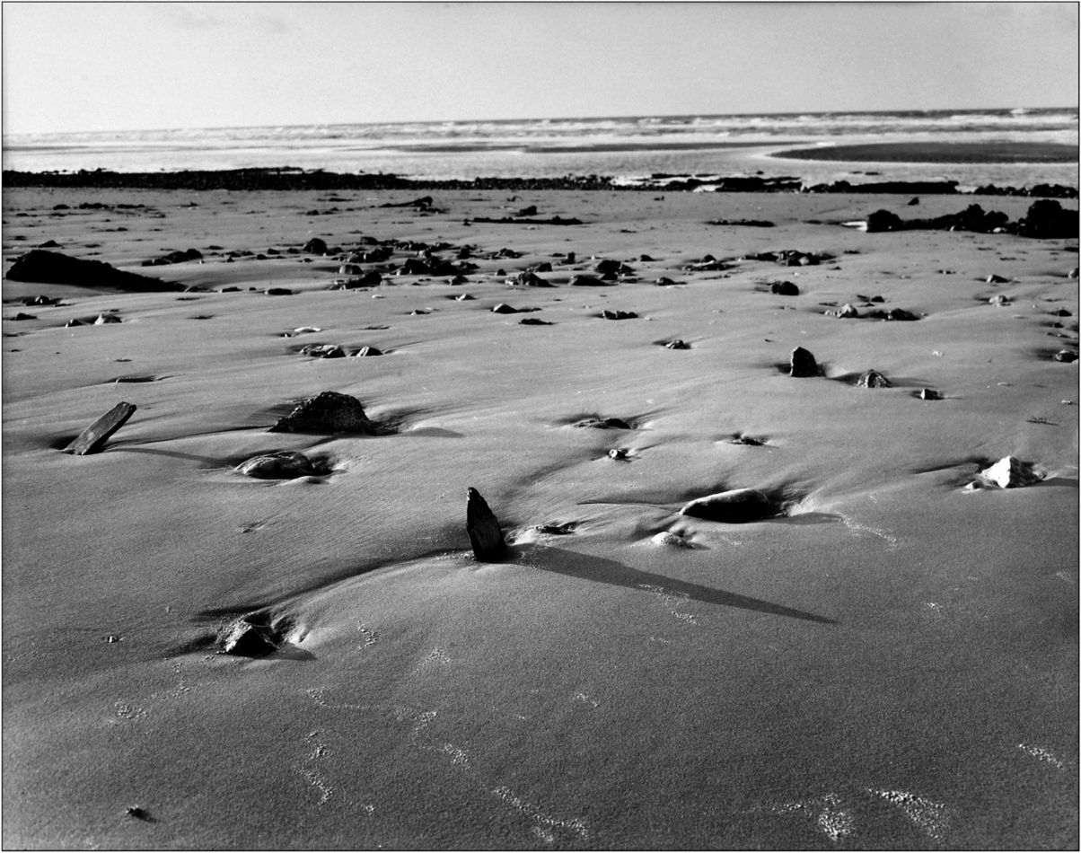 Omaha Beach : D-Day: the Men, the Beaches : David Burnett | Photographer