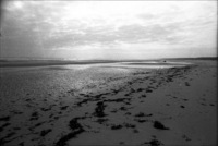 Omaha Beach - ©2024 David Burnett.<br/>All rights reserved.