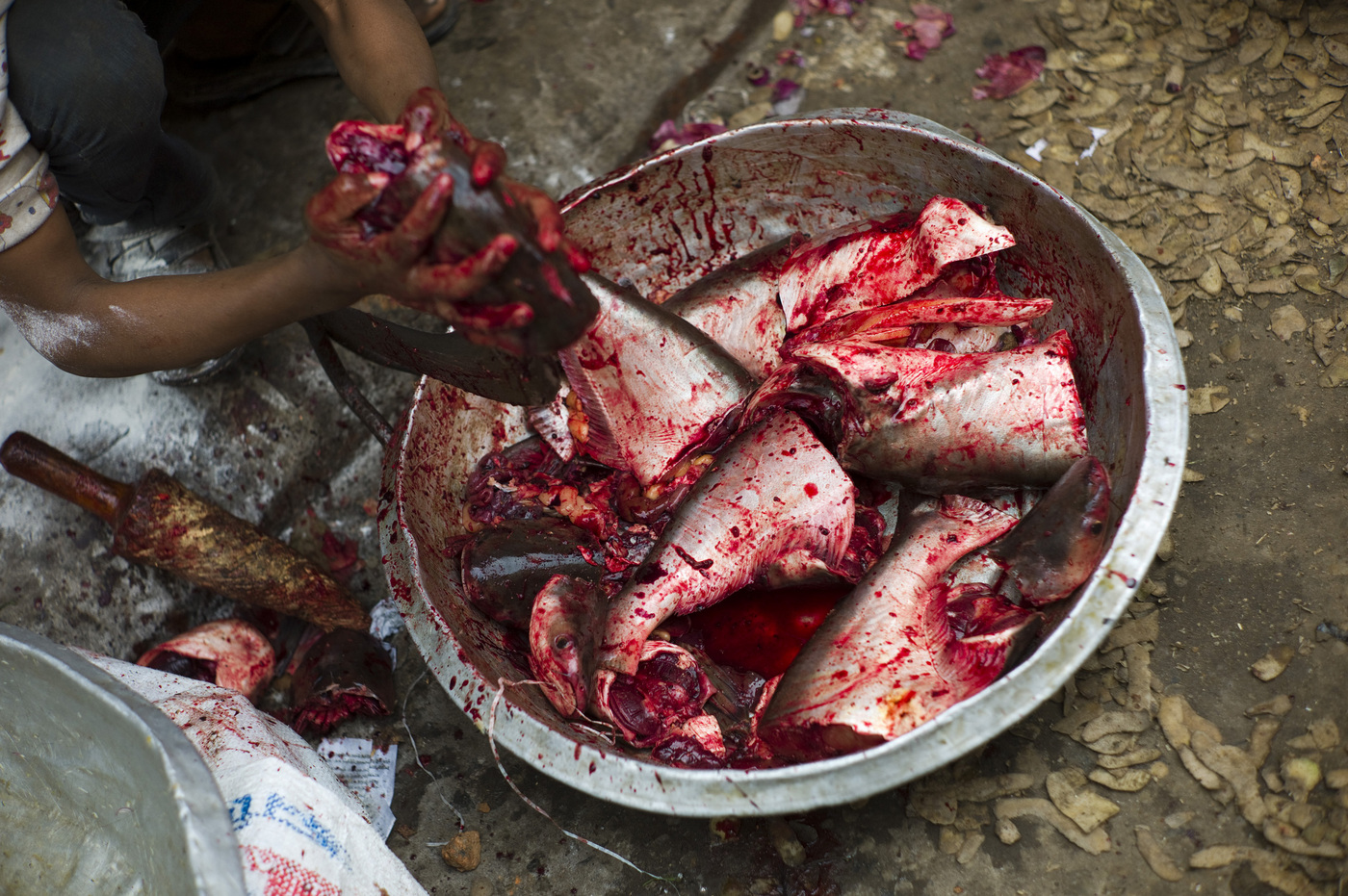 Ah! Fish... Dhaka, Bangladesh : Encounters : David Burnett | Photographer