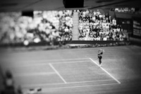 Serena Williams wins Gold Medal - Women's Singles - ©2025 David Burnett.<br/>All rights reserved.