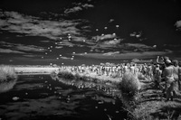 D-Day+70 Years: hundreds of paratroopers jump at Ste Mere Eglise in tribute to the paratroopers of 1944 - ©2024 David Burnett.<br/>All rights reserved.