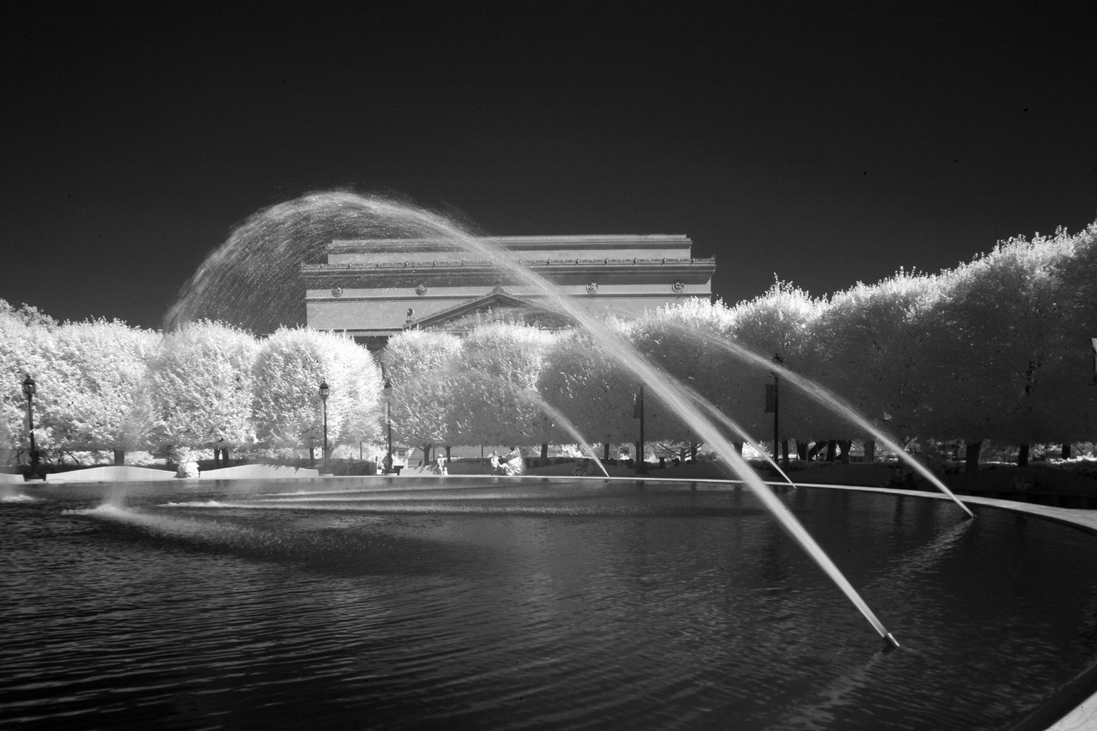 The Gardens along Madison St NW