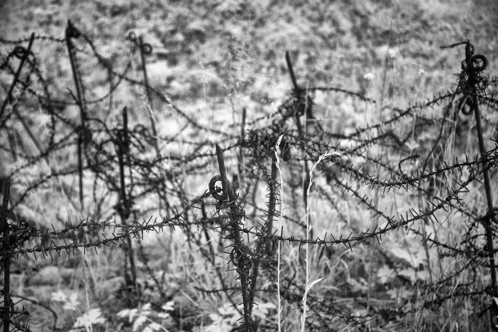 Butte de Vauquois - "the wire" : World War 1 : David Burnett | Photographer