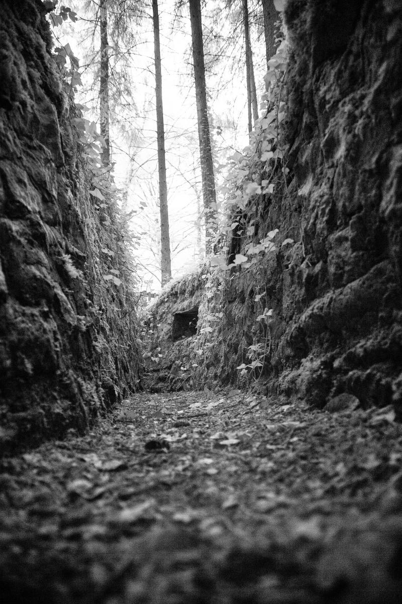 A French Army WW1 trench : World War 1 : David Burnett | Photographer