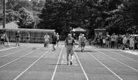 The 100m