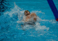 Backstroke - ©2024 David Burnett.<br/>All rights reserved.