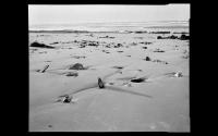Remnants of the D-Day landings 1994 - ©2024 David Burnett.<br/>All rights reserved.