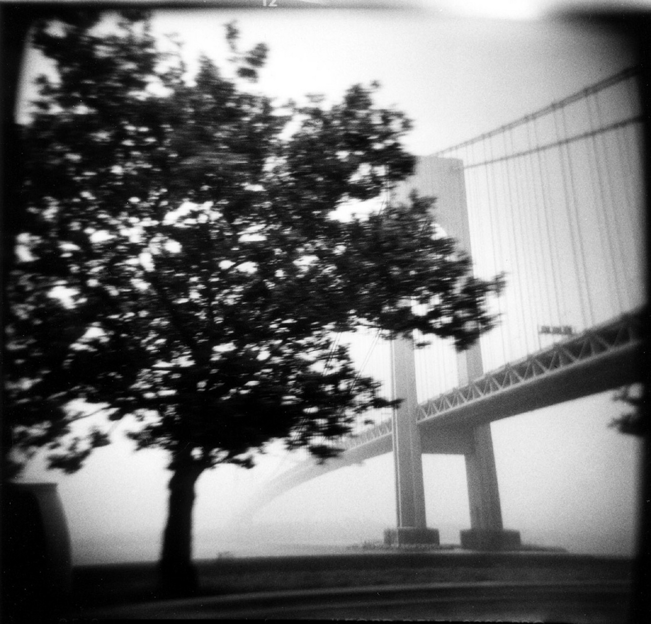 Verrazano Narrows bridge : Holga Eye : David Burnett | Photographer