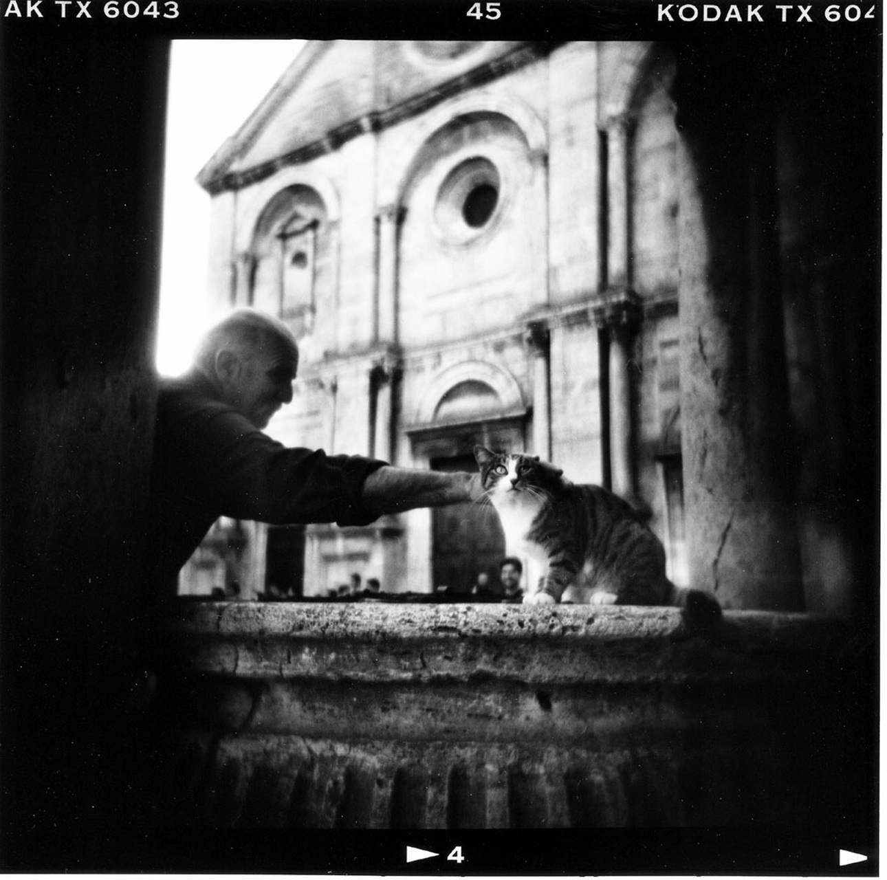 the cat of Pienza : Holga Eye : David Burnett | Photographer