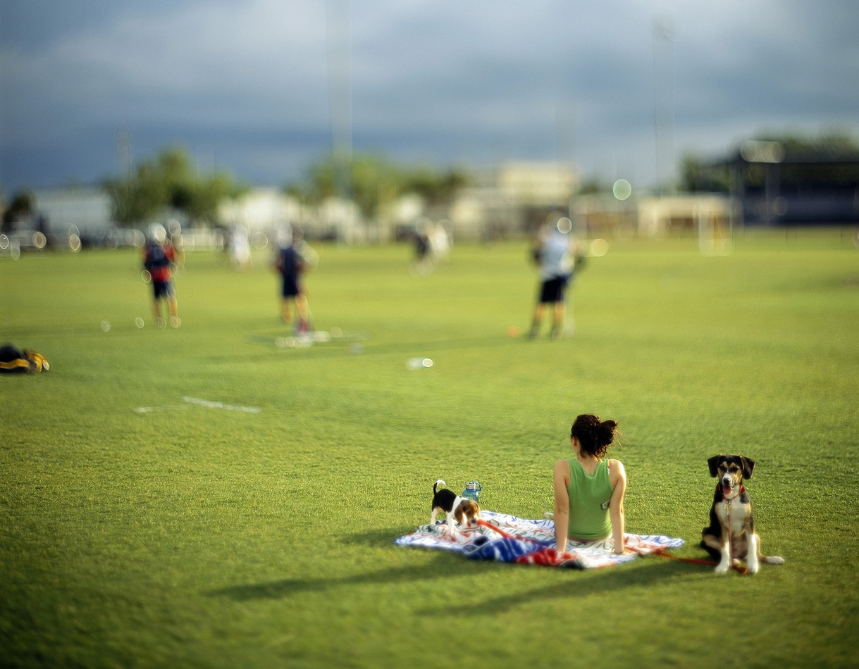 Lacrosse team practice
 : Orlando : David Burnett | Photographer