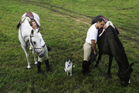 The Iagorshvilis, Olympic athletes - ©2024 David Burnett.<br/>All rights reserved.